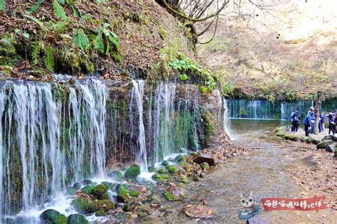 輕井澤 白絲瀑布|【日本輕井澤景點】冬天的白絲瀑布（白糸の滝），含。